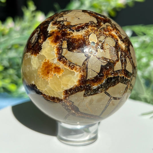 Septarian Sphere Diameter approximately 2.56" (65 mm) Weight: 381 g (13.45 oz)