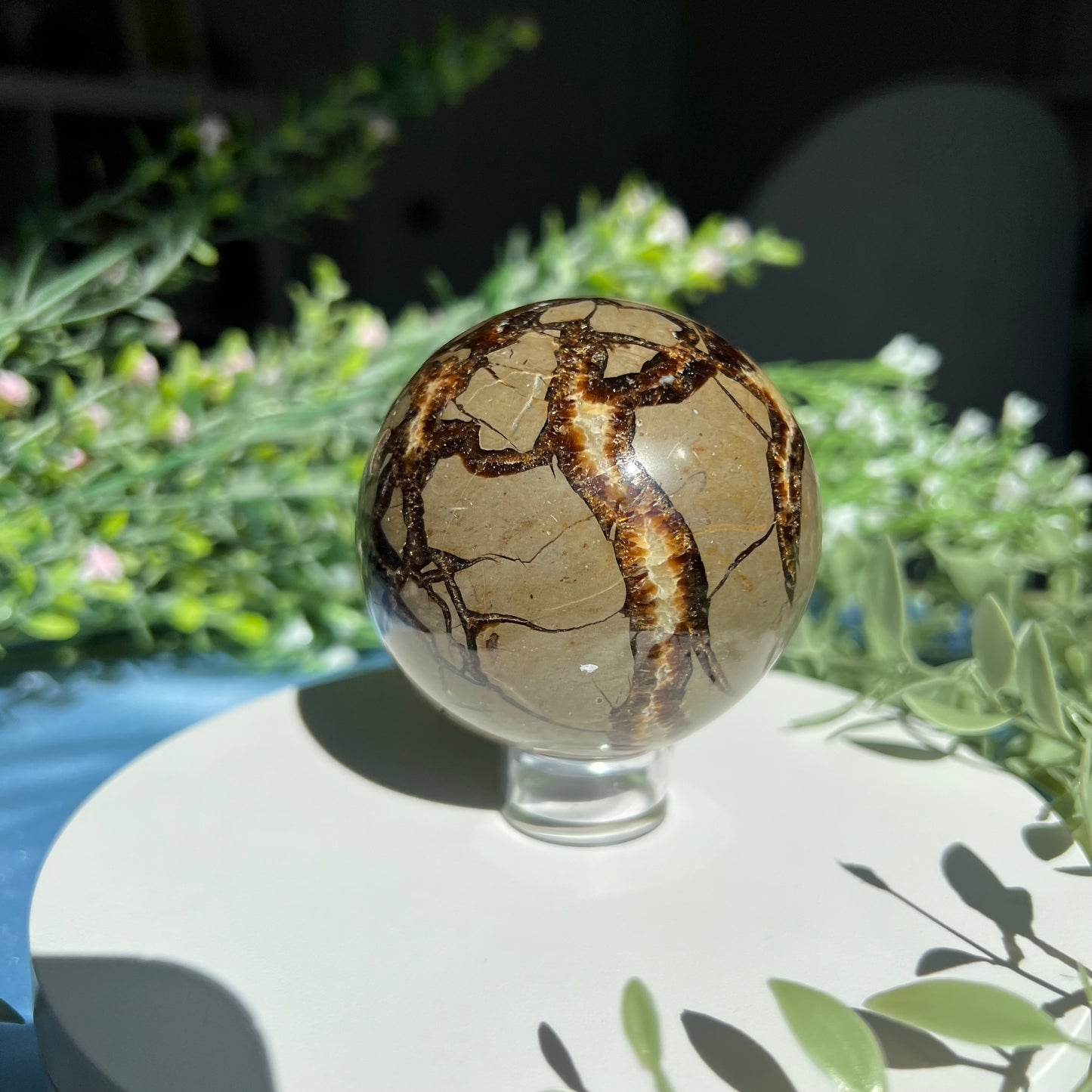 Septarian Sphere Diameter approximately 2.56" (65 mm) Weight: 381 g (13.45 oz)