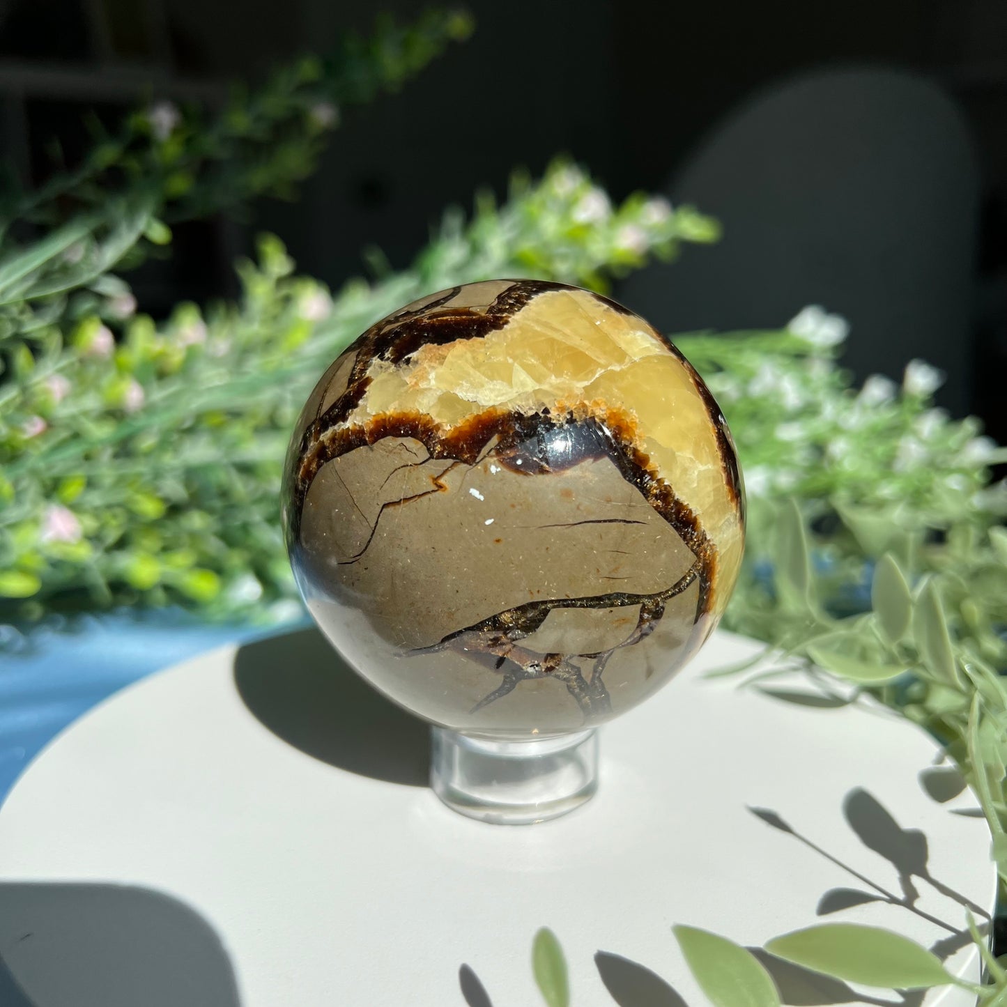 Septarian Sphere Diameter approximately 2.56" (65 mm) Weight: 381 g (13.45 oz)