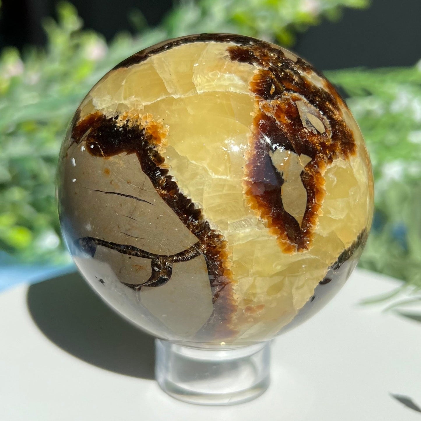 Septarian Sphere Diameter approximately 2.56" (65 mm) Weight: 381 g (13.45 oz)