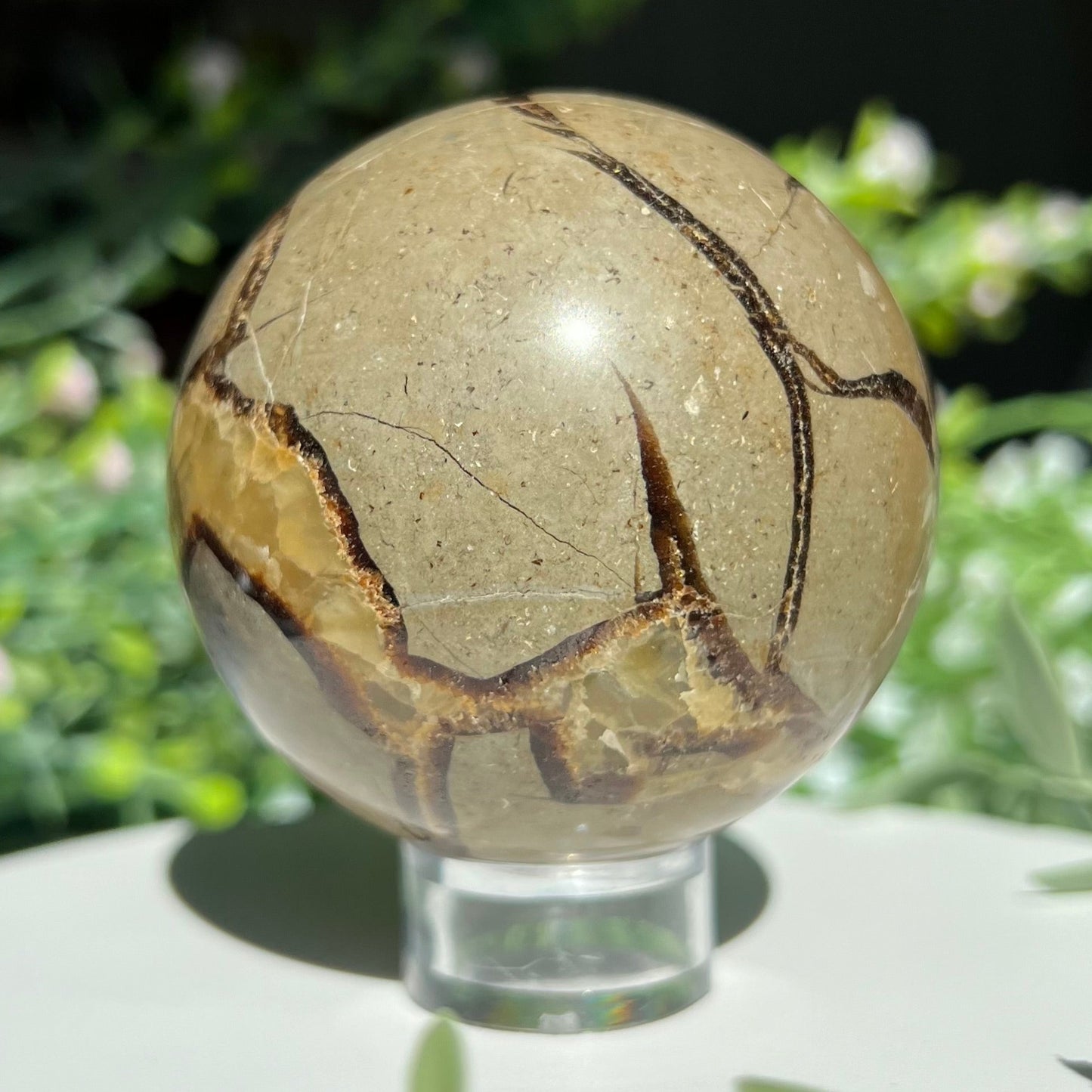 Septarian Sphere Diameter approximately 2.42" (61 mm) Weight: 328 g (11.55 oz)