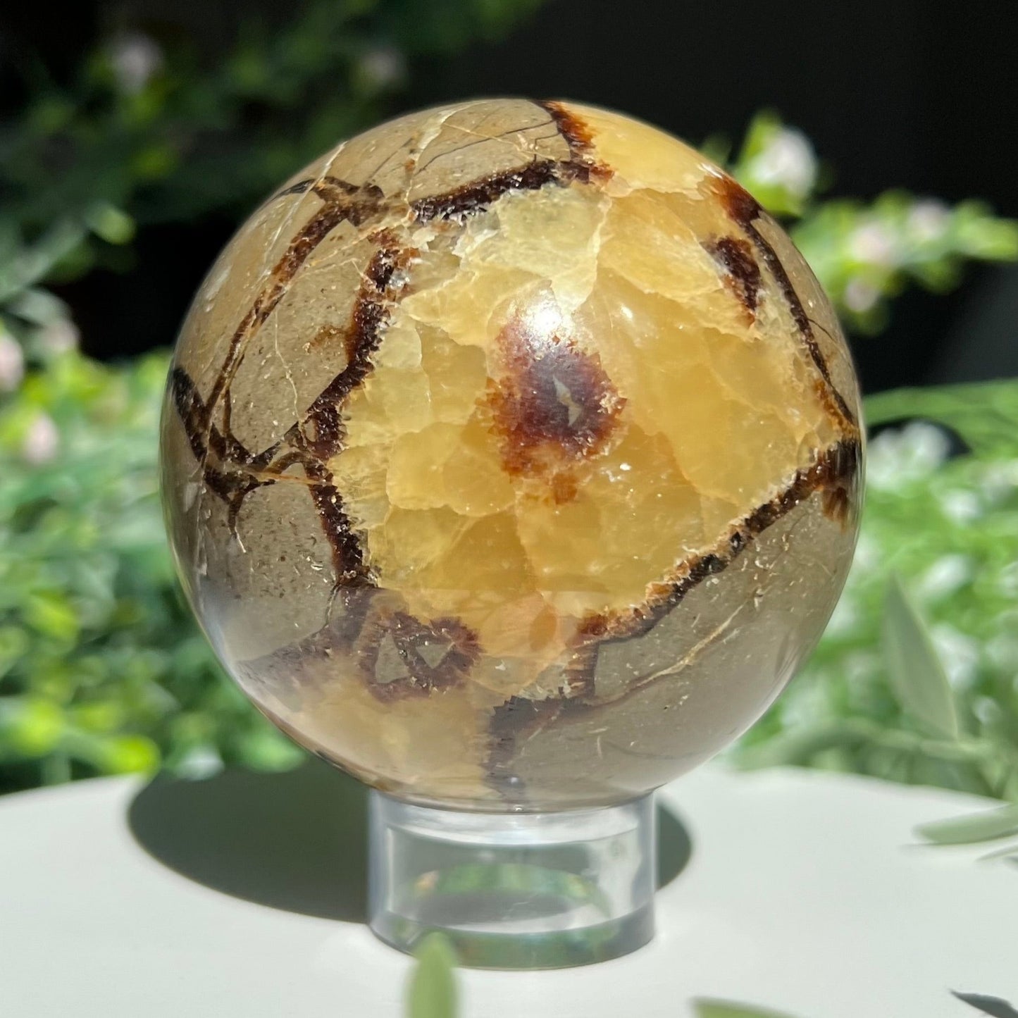 Septarian Sphere Diameter approximately 2.42" (61 mm) Weight: 328 g (11.55 oz)