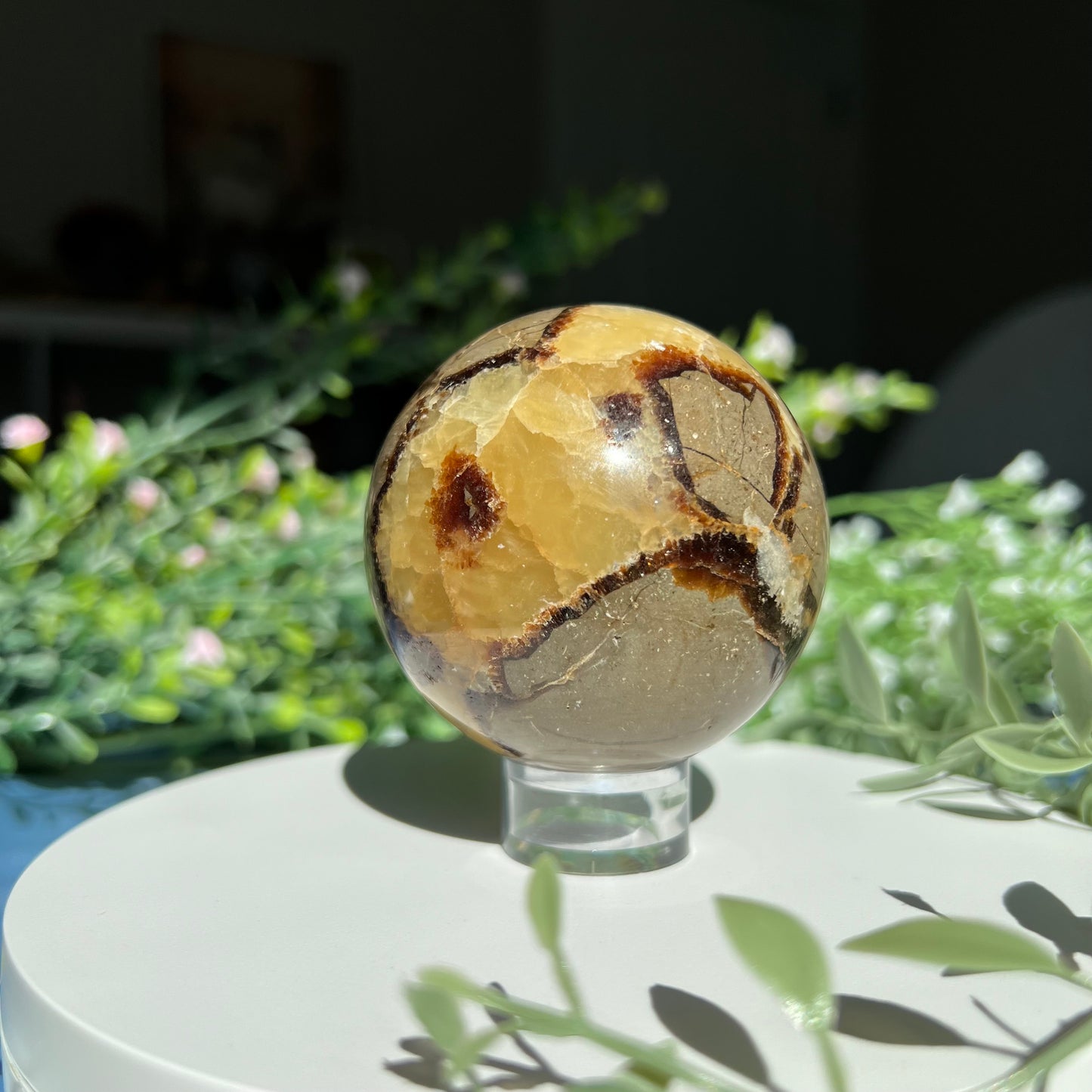 Septarian Sphere Diameter approximately 2.42" (61 mm) Weight: 328 g (11.55 oz)