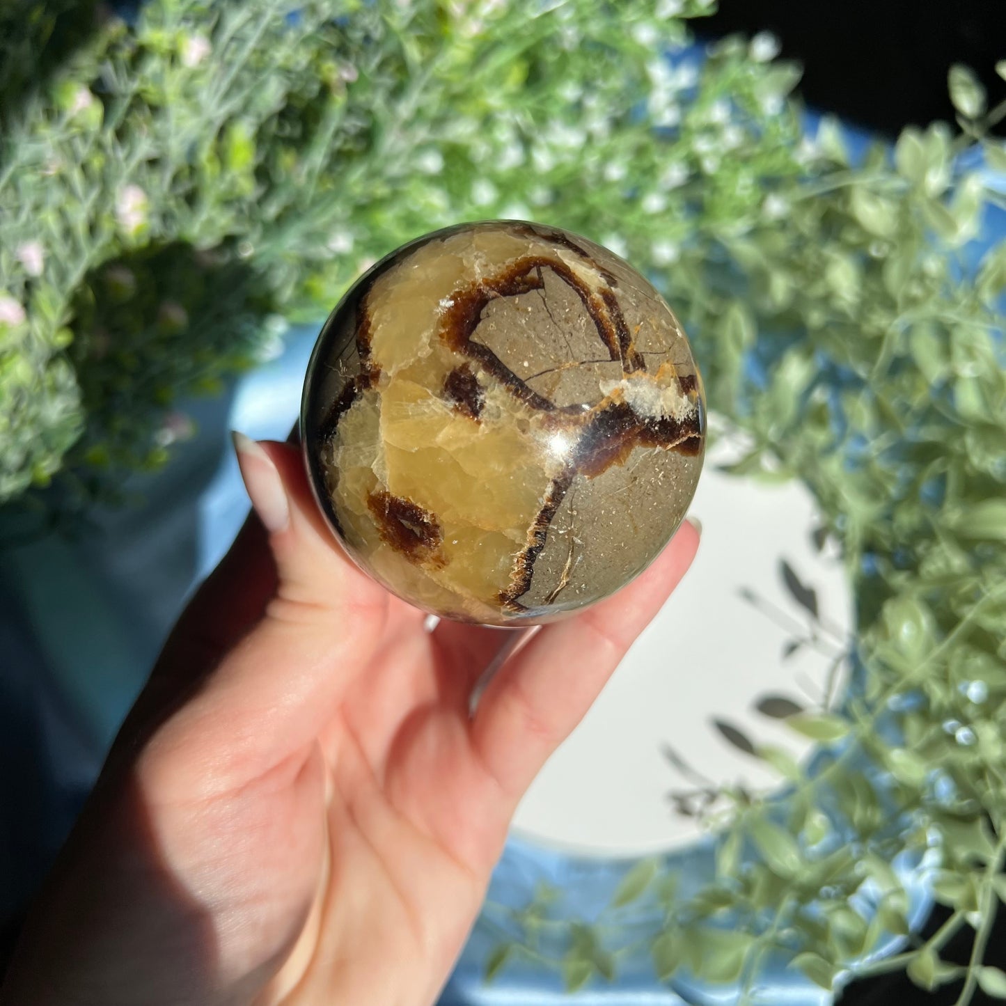 Septarian Sphere Diameter approximately 2.42" (61 mm) Weight: 328 g (11.55 oz)