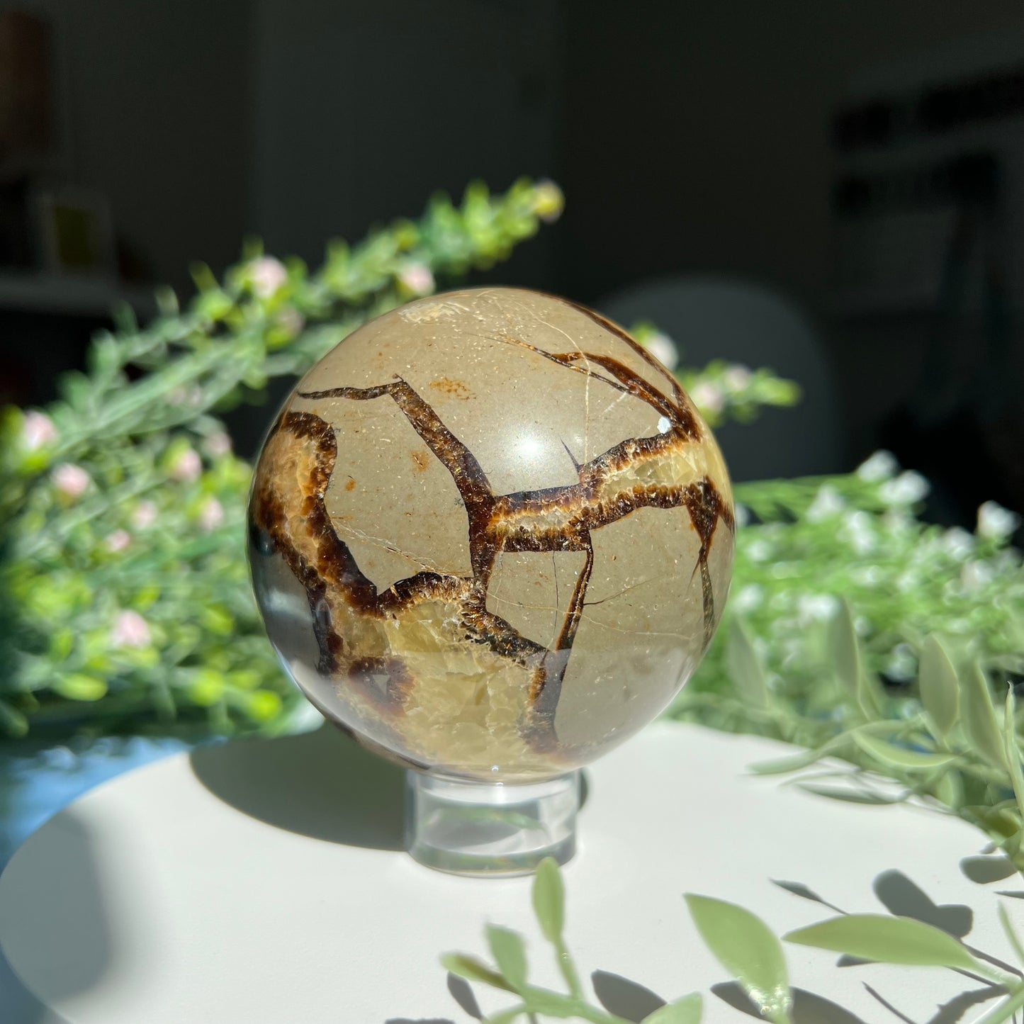 Septarian Sphere Diameter approximately 2.7" (68 mm) Weight: 477 g (16.85 oz)