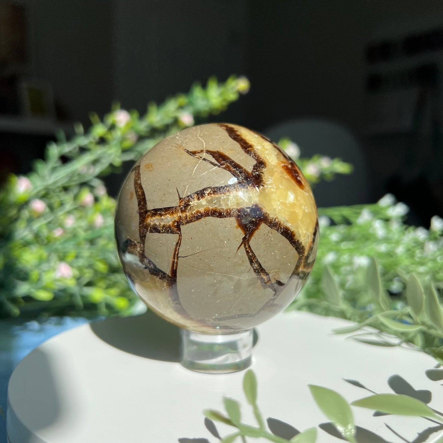 Septarian Sphere Diameter approximately 2.7" (68 mm) Weight: 477 g (16.85 oz)