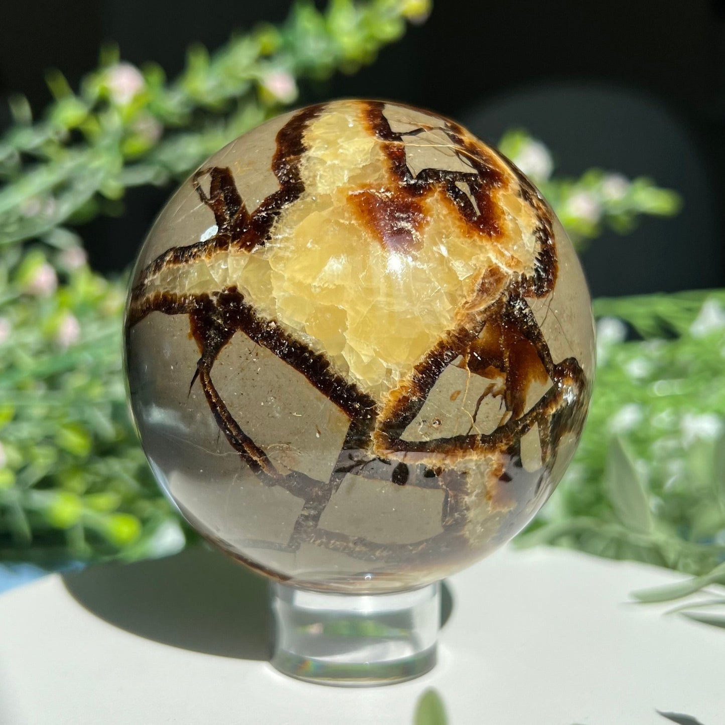 Septarian Sphere Diameter approximately 2.7" (68 mm) Weight: 477 g (16.85 oz)