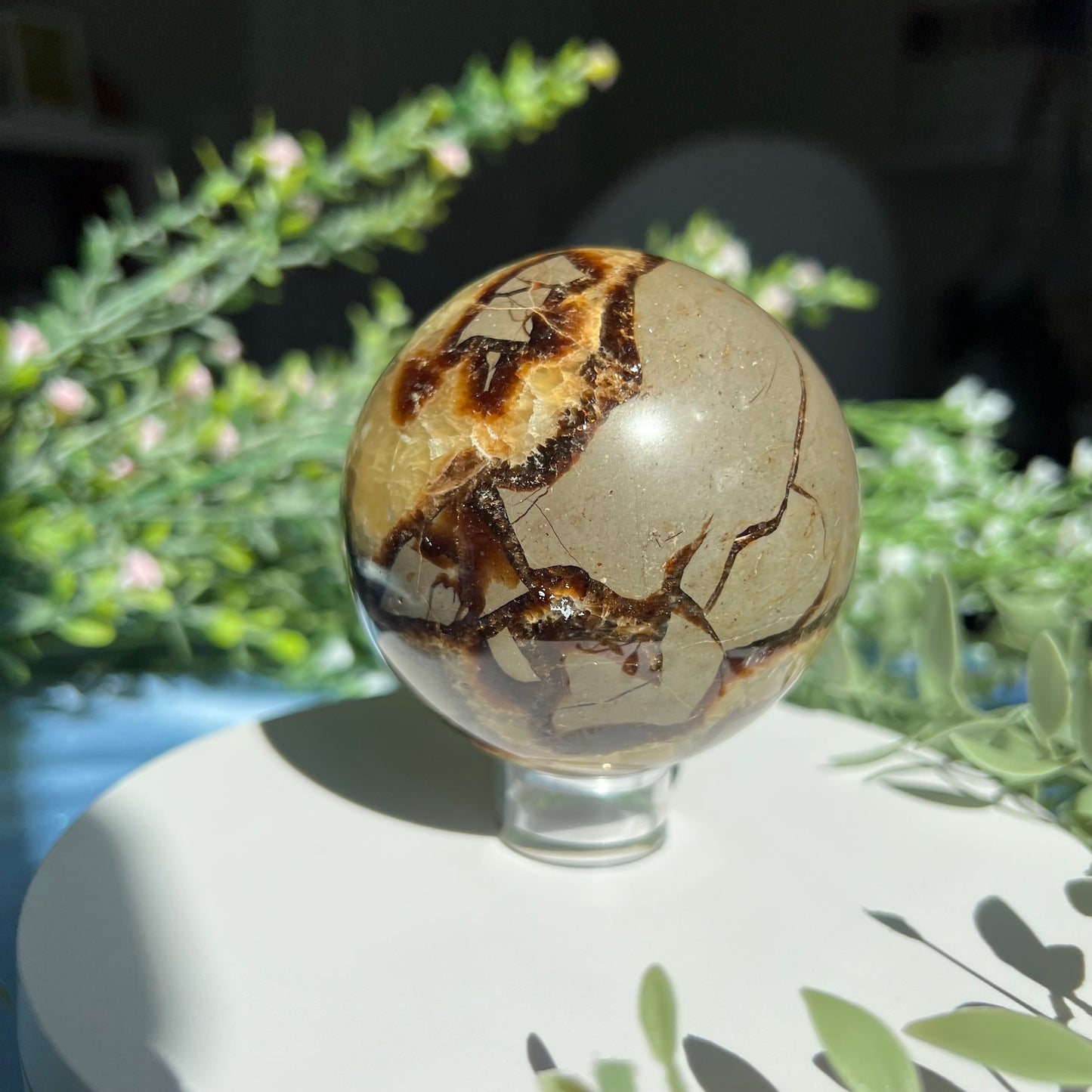 Septarian Sphere Diameter approximately 2.7" (68 mm) Weight: 477 g (16.85 oz)