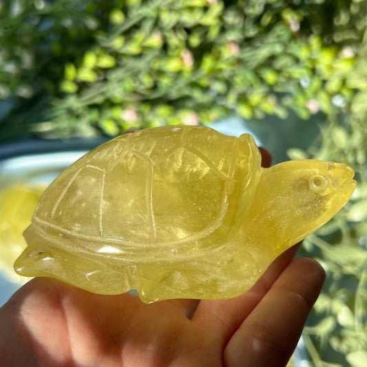 Citrine Heat Treated Sea Turtle Carving