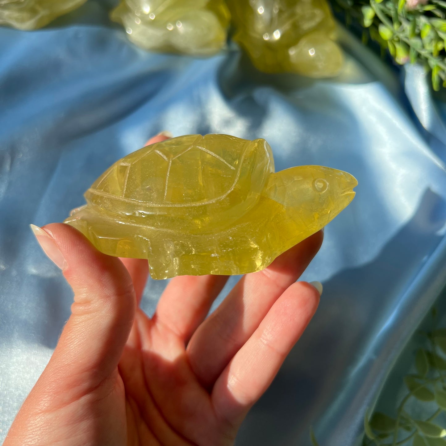 Citrine Heat Treated Sea Turtle Carving