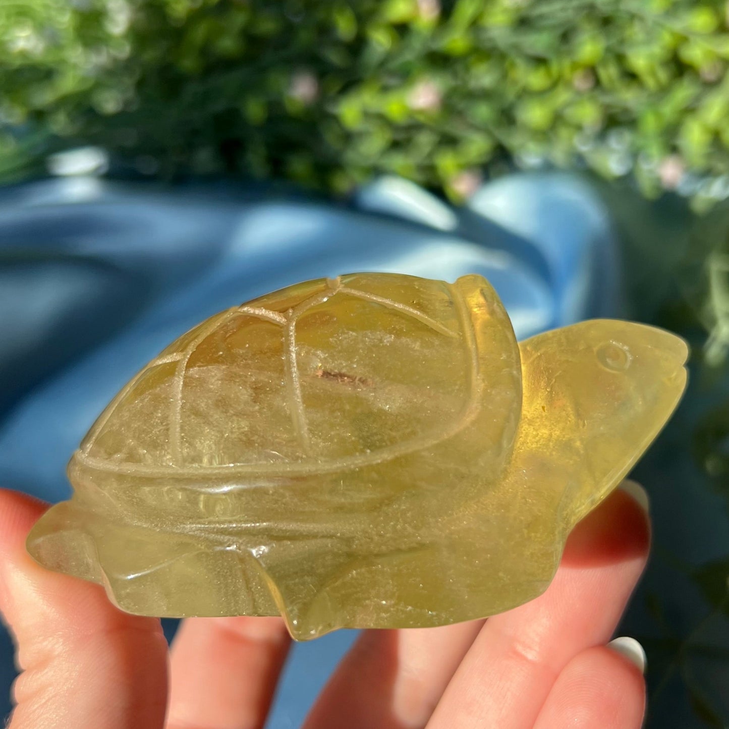 Citrine Heat Treated Sea Turtle Carving