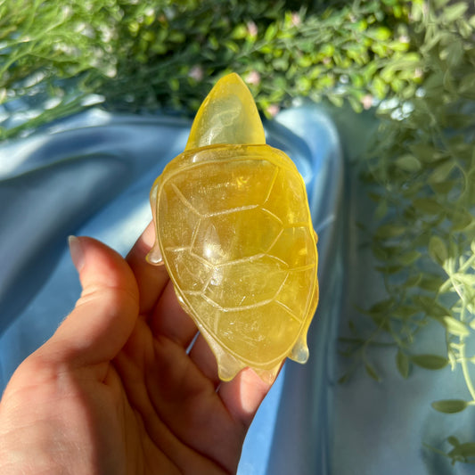 Citrine Heat Treated Sea Turtle Carving