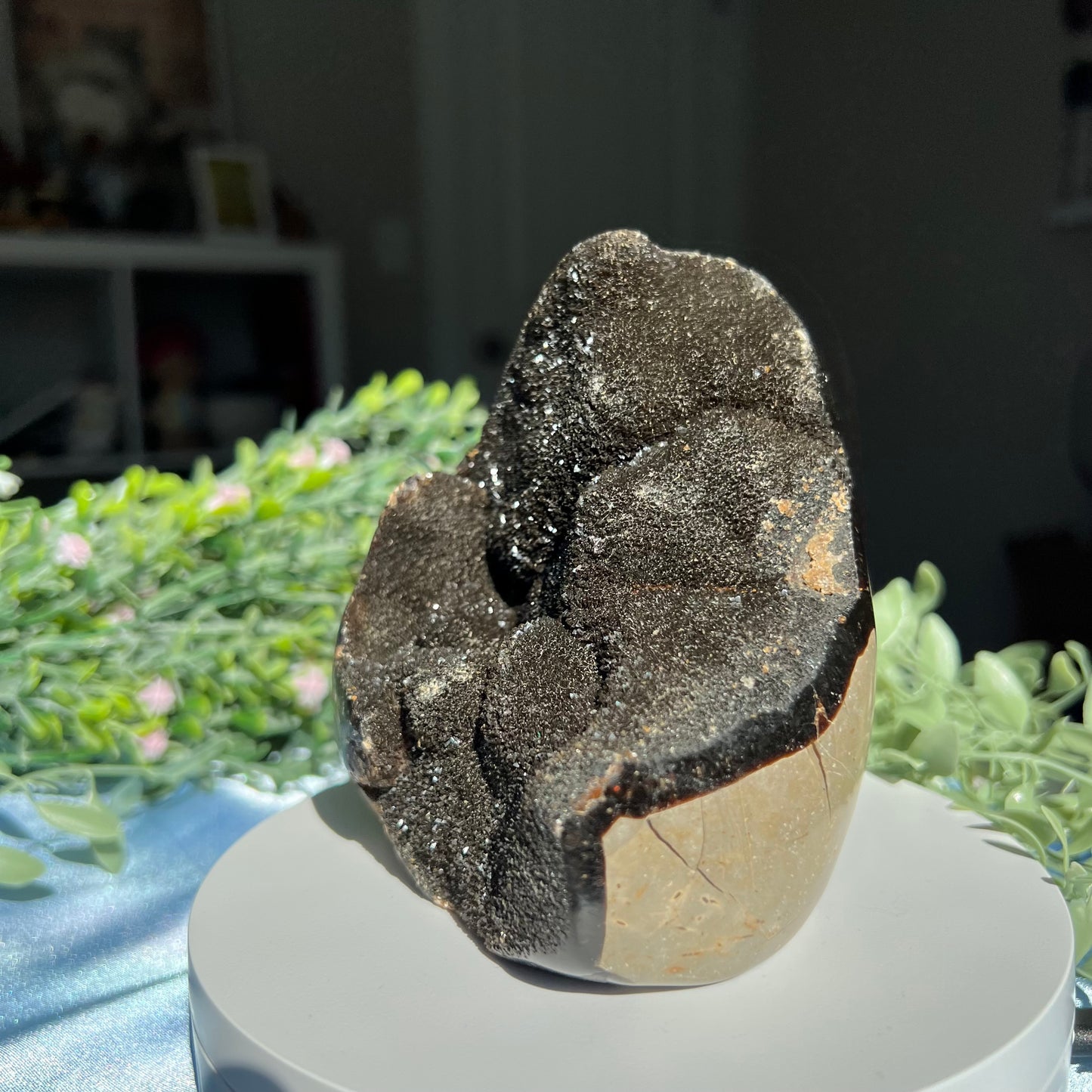 Septarian Egg with Druzzy (Dragon Stone) 1.032 kg (2 lb 4.4 oz) 4.30" tall