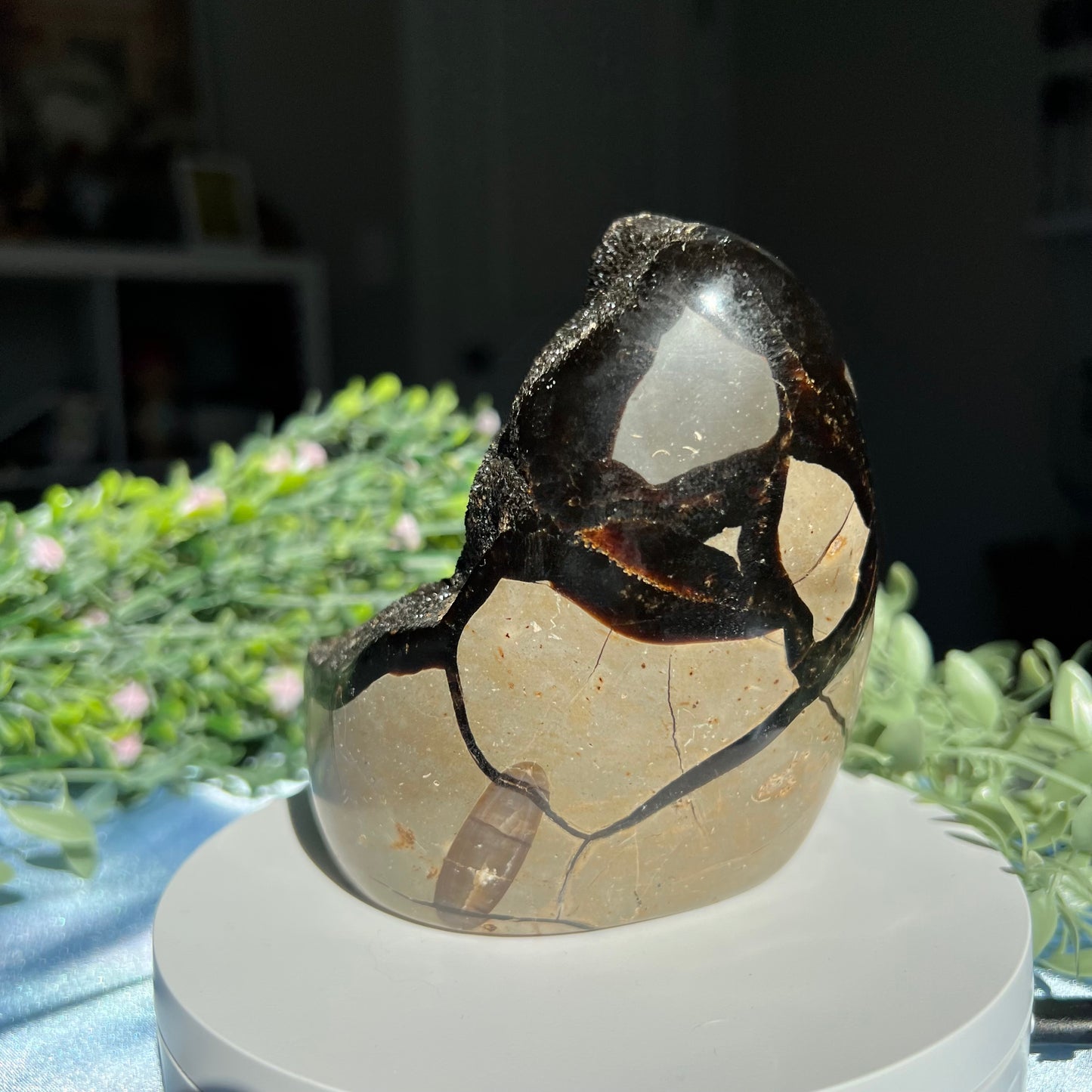 Septarian Egg with Druzzy (Dragon Stone) 1.032 kg (2 lb 4.4 oz) 4.30" tall