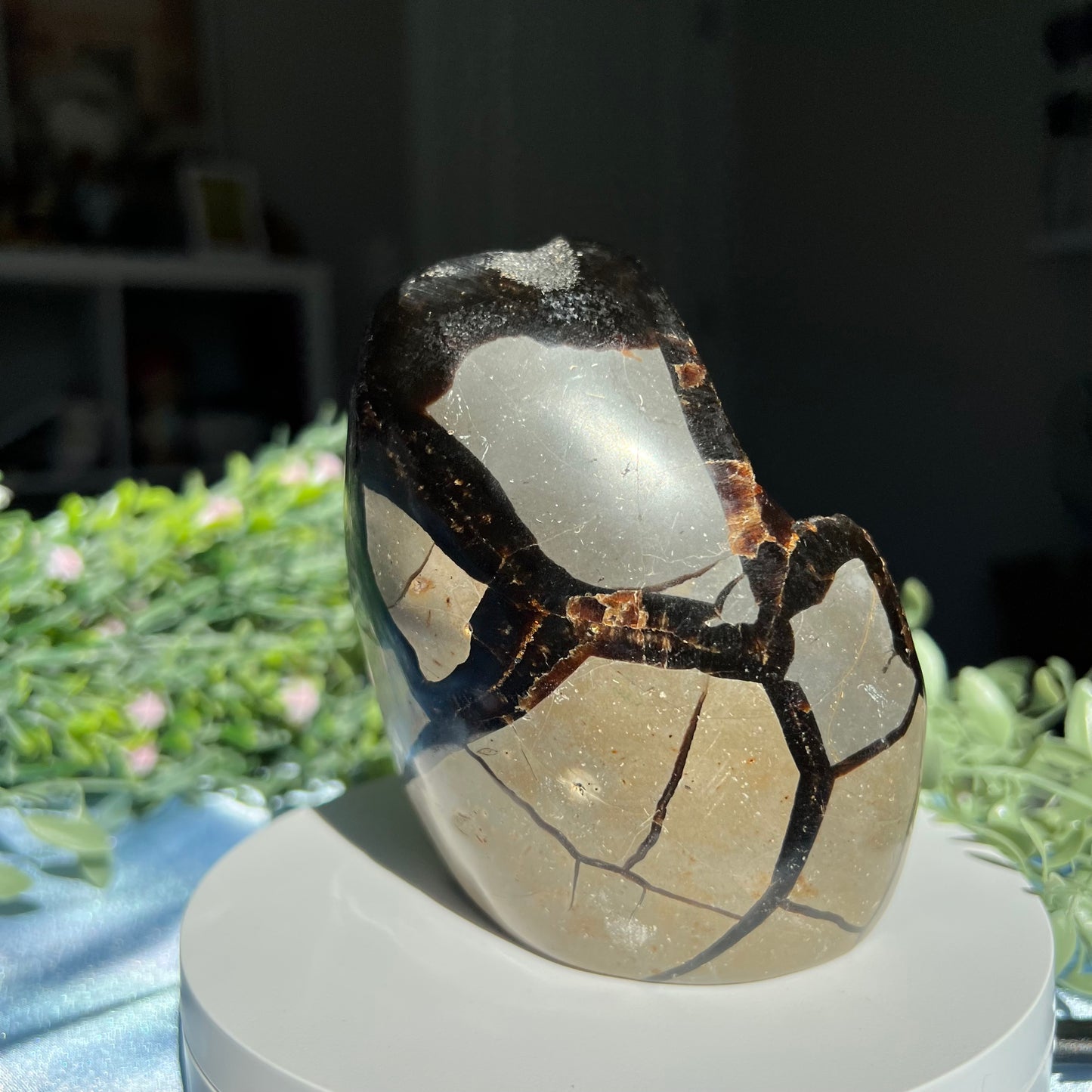 Septarian Egg with Druzzy (Dragon Stone) 1.032 kg (2 lb 4.4 oz) 4.30" tall