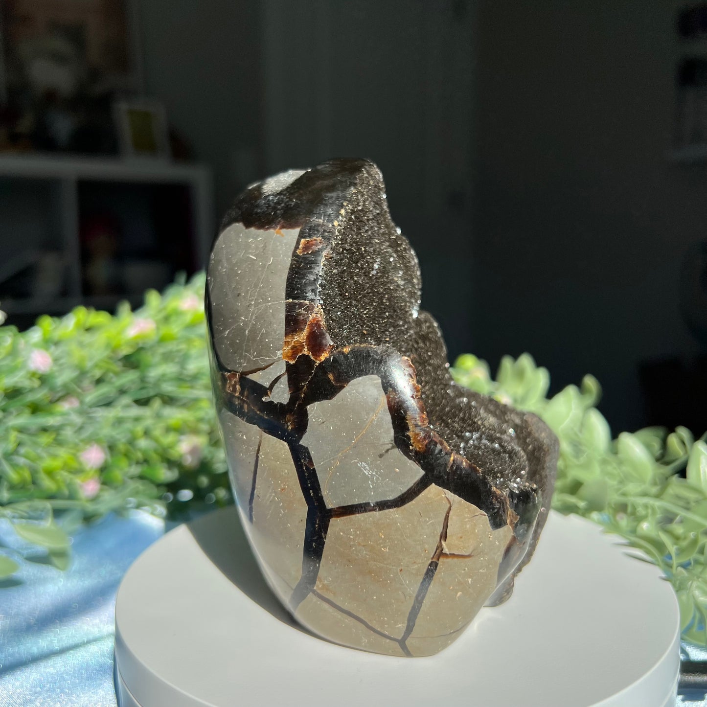 Septarian Egg with Druzzy (Dragon Stone) 1.032 kg (2 lb 4.4 oz) 4.30" tall