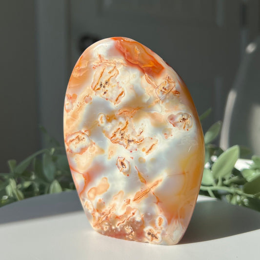 Flower Agate Freeform from Madagascar