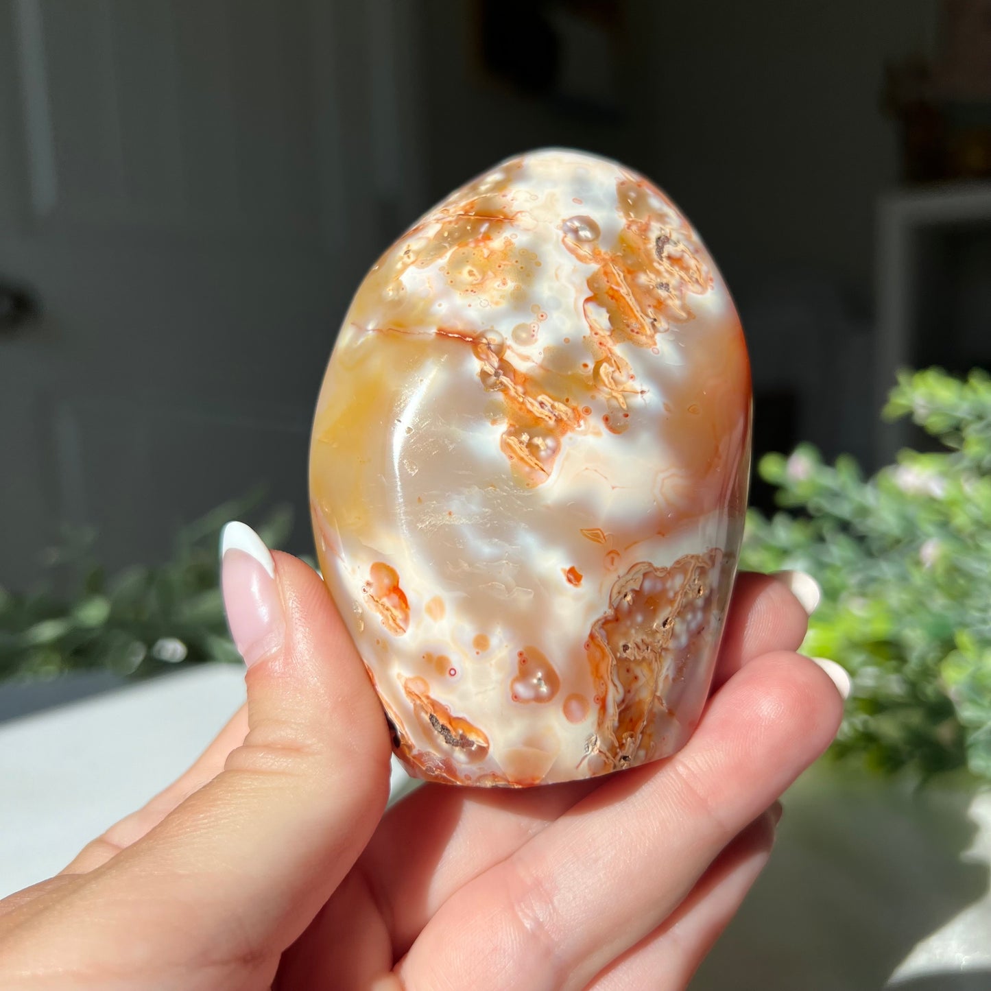 Flower Agate Freeform from Madagascar