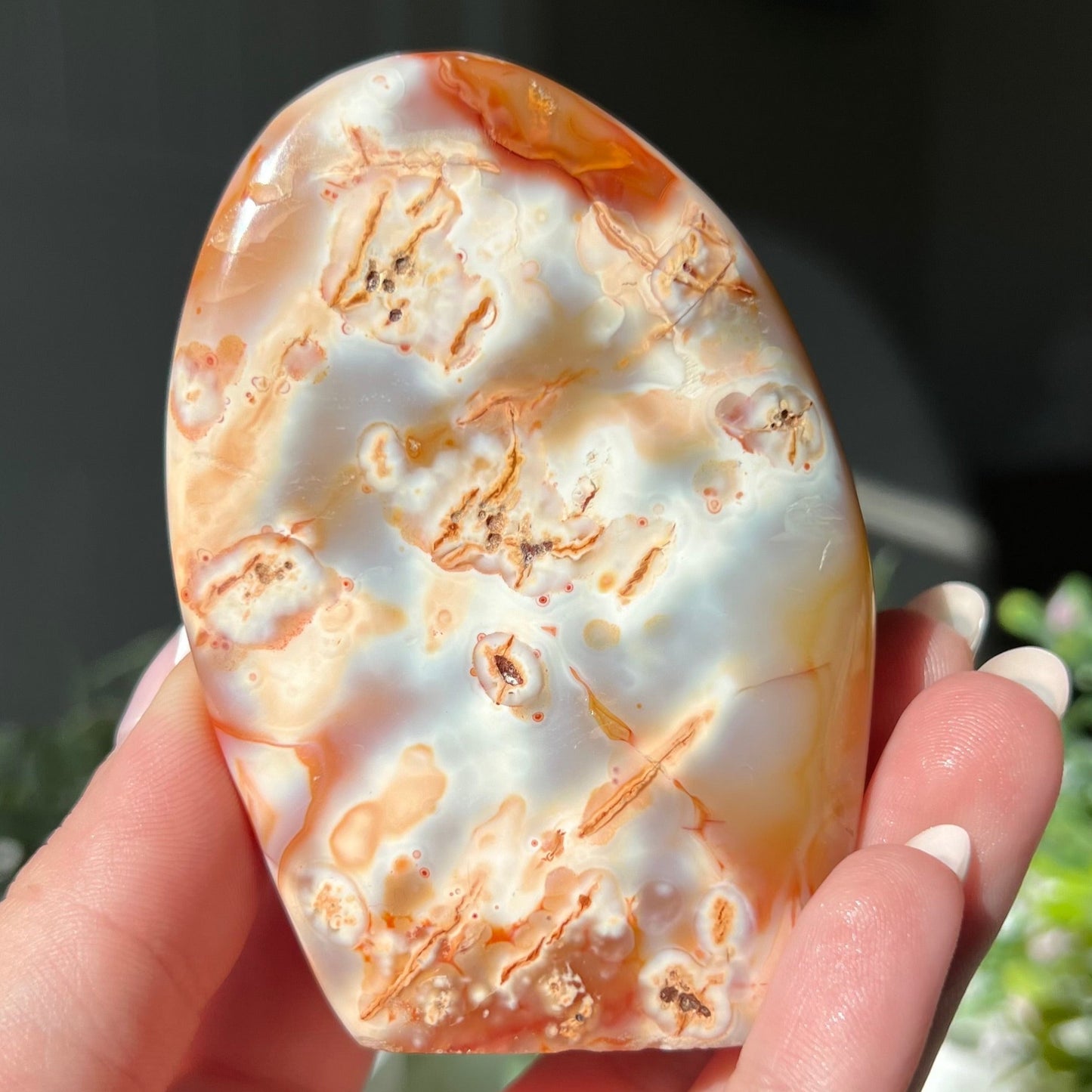 Flower Agate Freeform from Madagascar