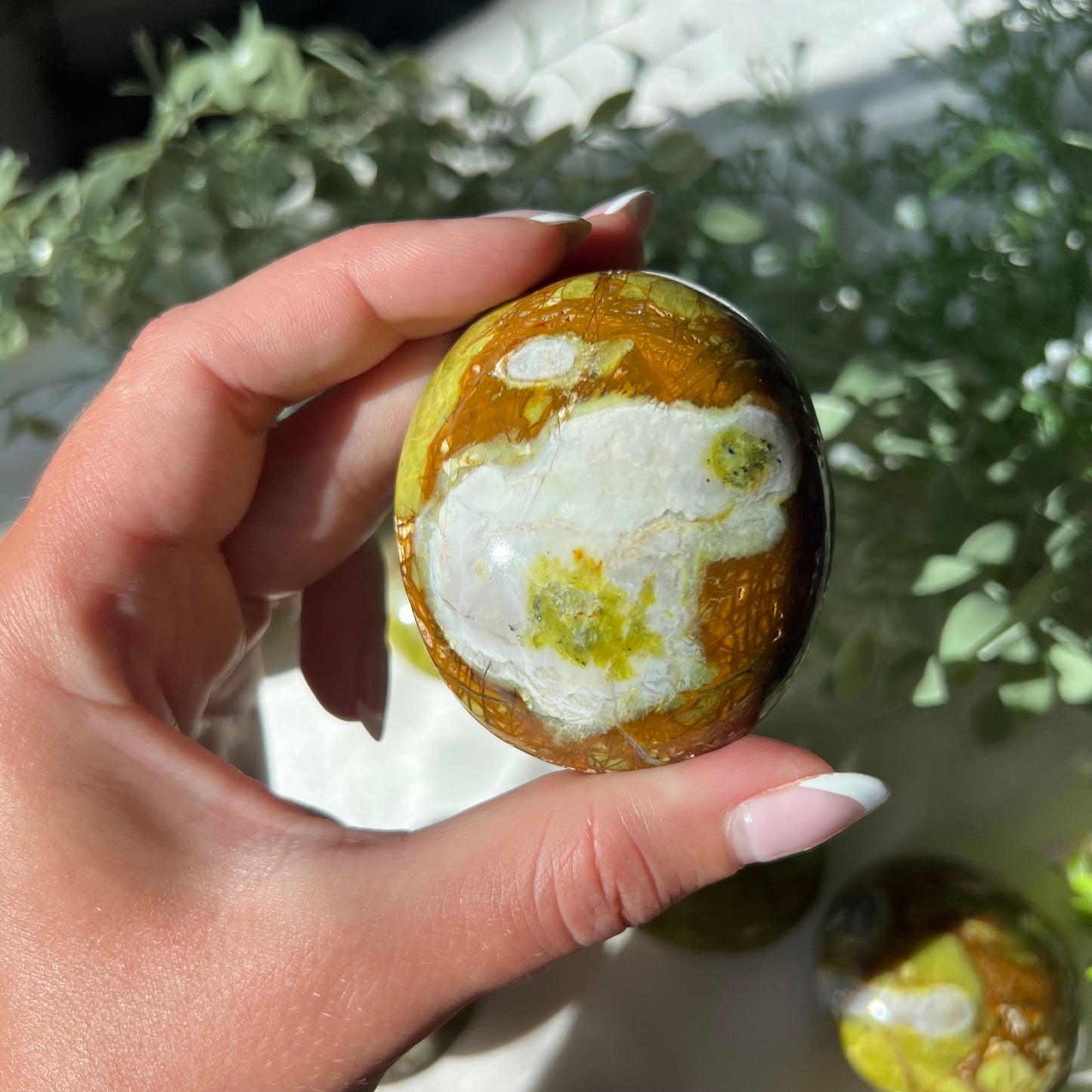 Exotic Green Opal Palm Stone from Madagascar