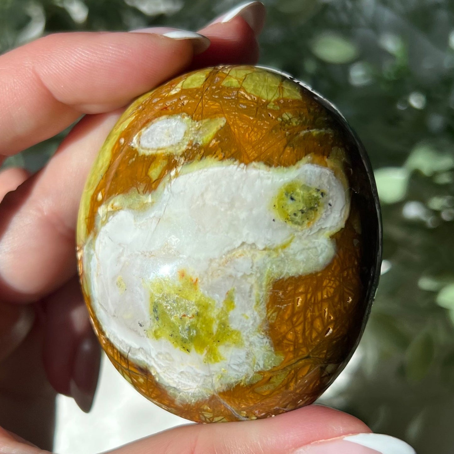 Exotic Green Opal Palm Stone from Madagascar