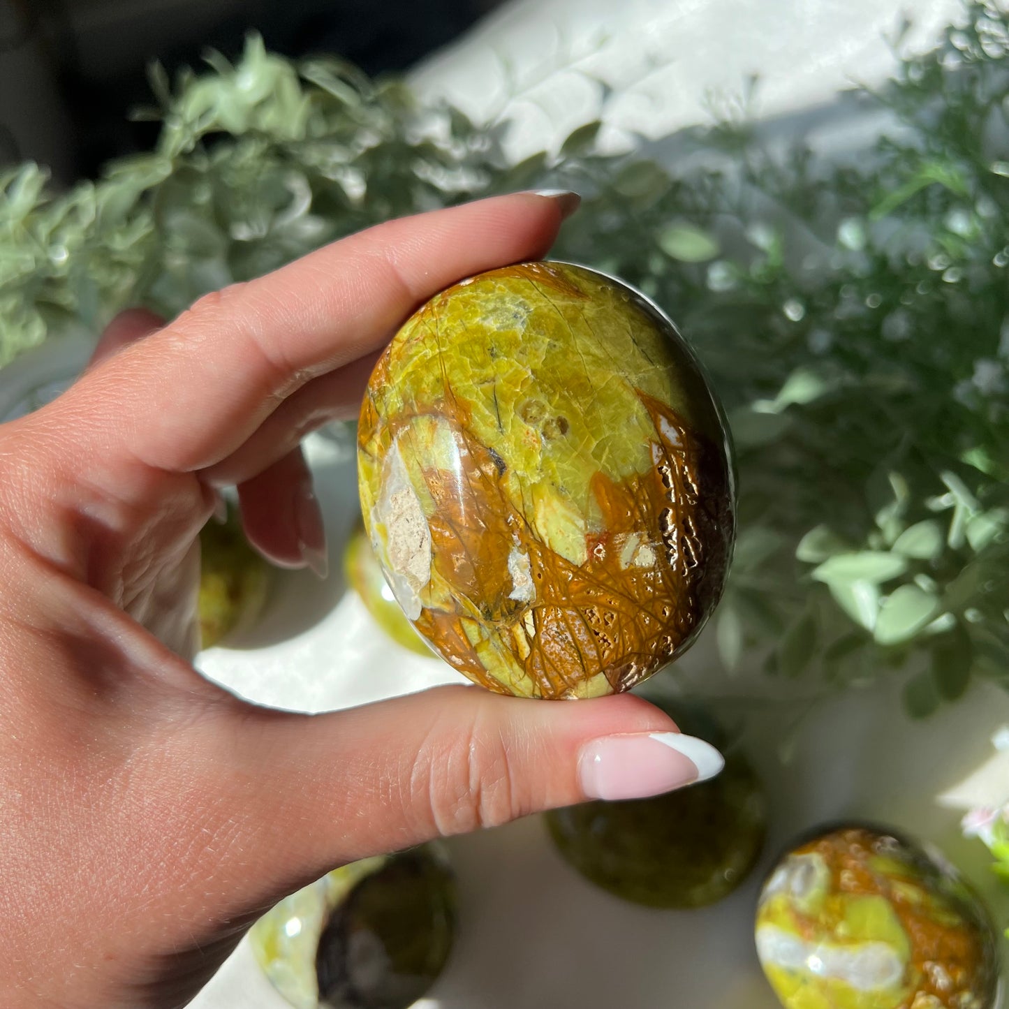 Exotic Green Opal Palm Stone from Madagascar