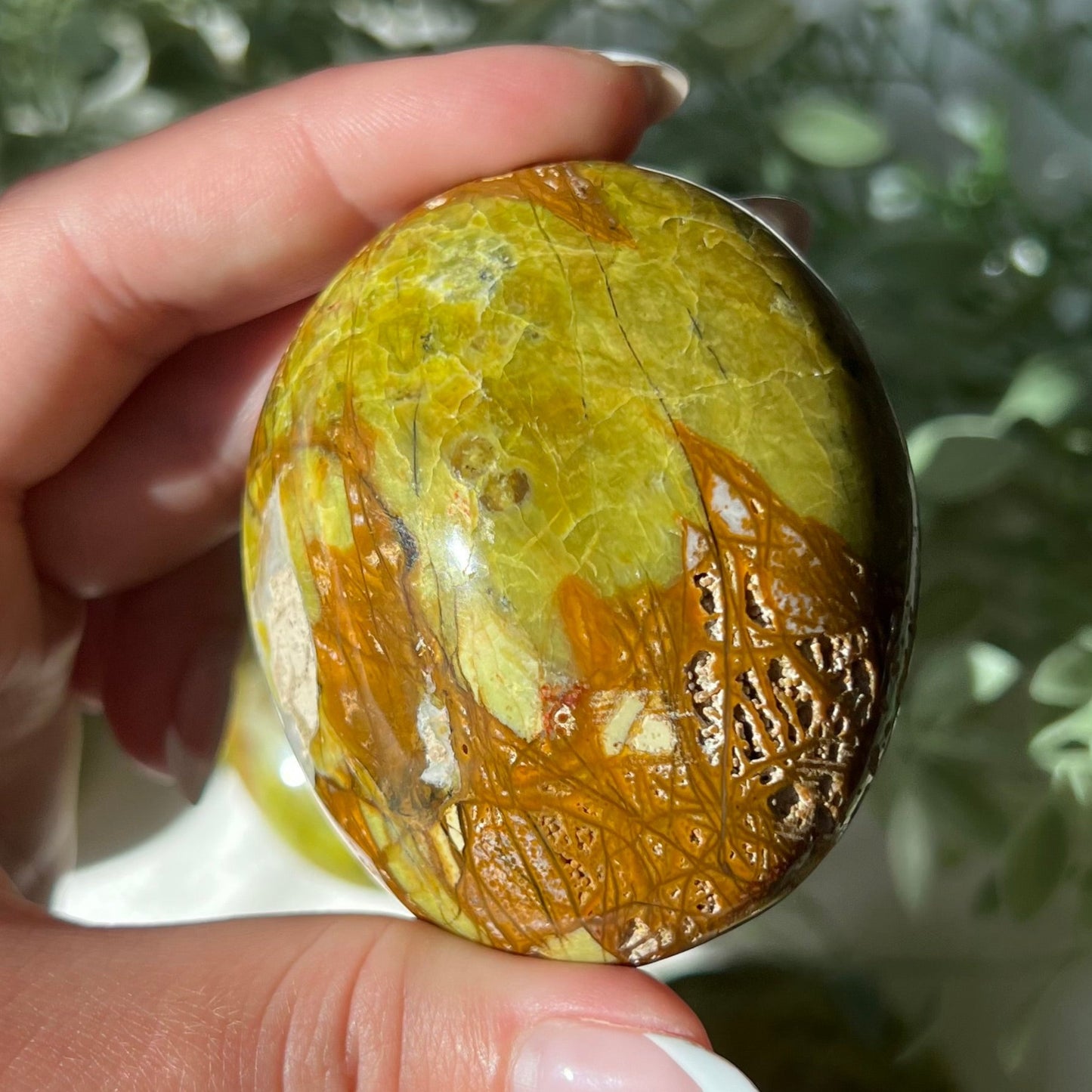 Exotic Green Opal Palm Stone from Madagascar