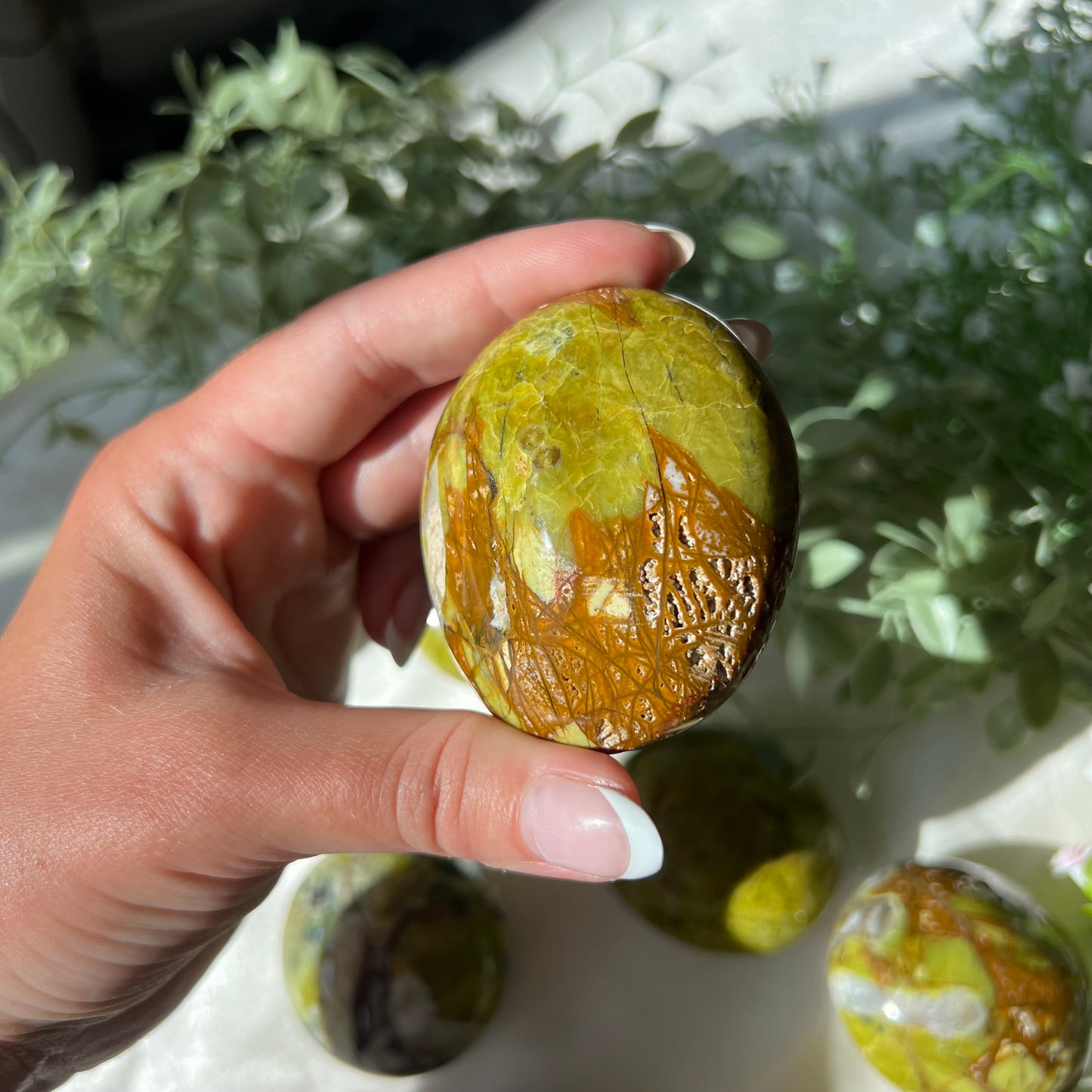 Exotic Green Opal Palm Stone from Madagascar