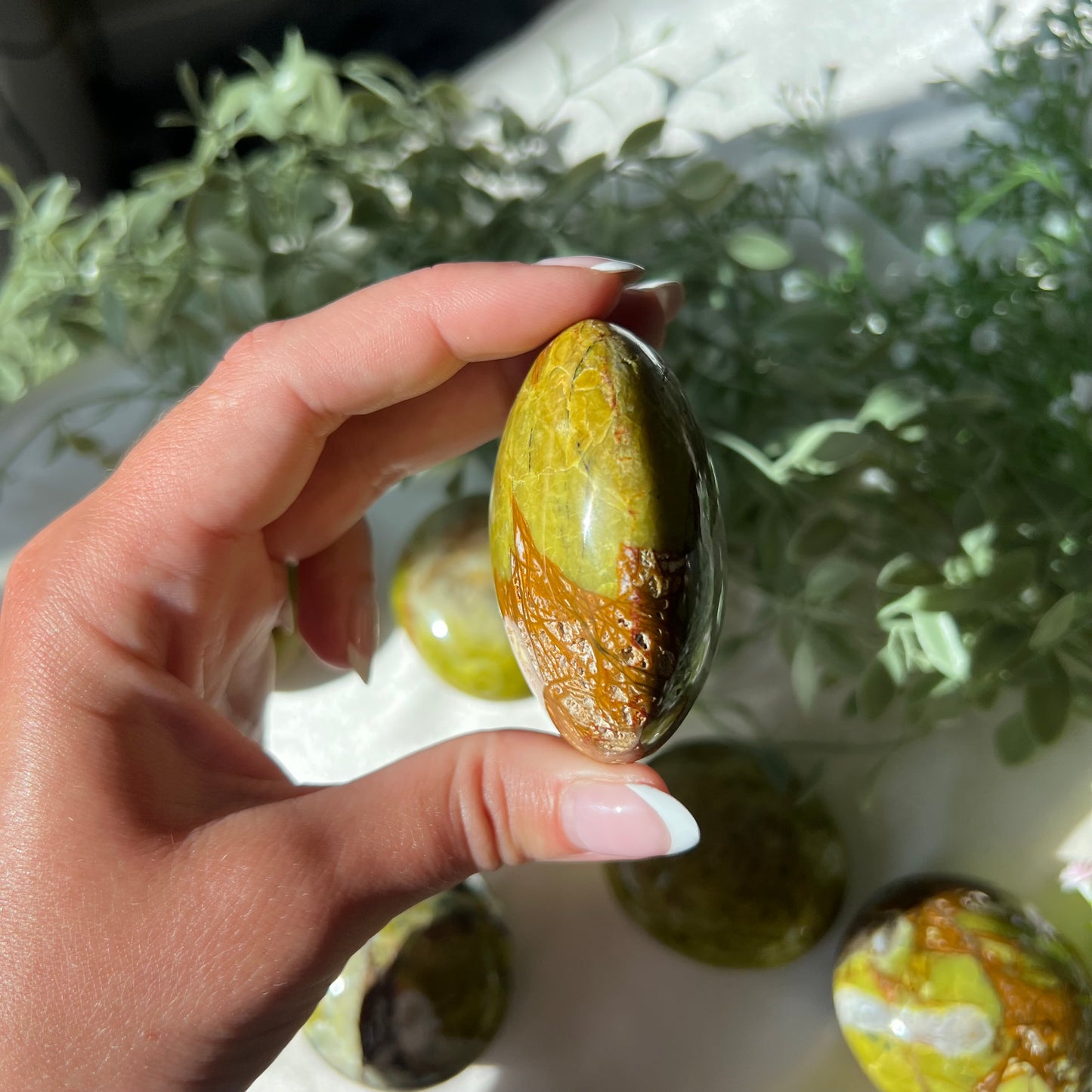 Exotic Green Opal Palm Stone from Madagascar