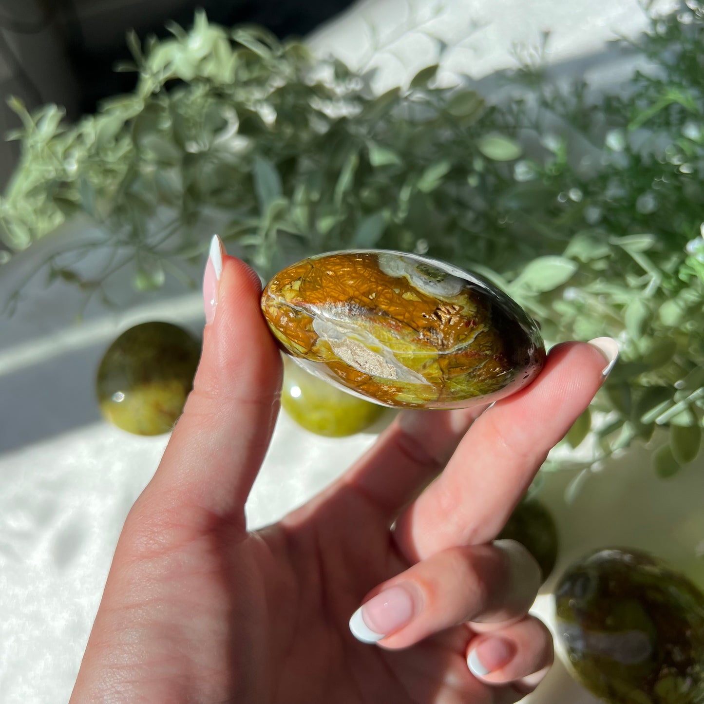 Exotic Green Opal Palm Stone from Madagascar