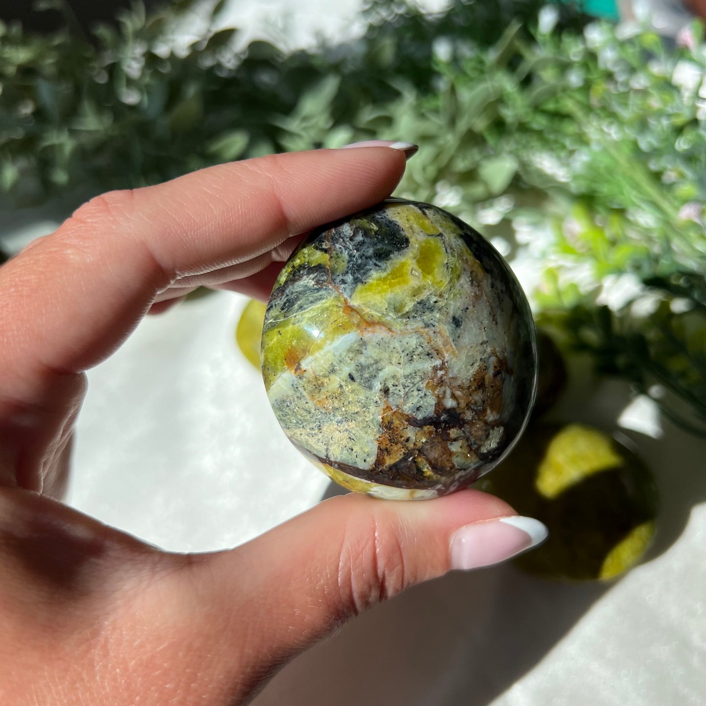 Exotic Green Opal Palm Stone from Madagascar