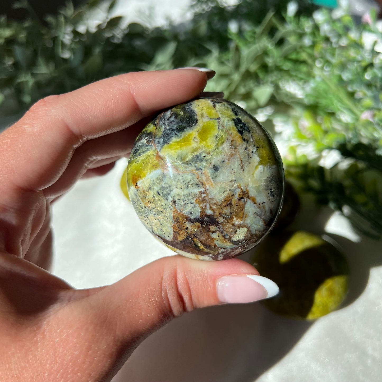 Exotic Green Opal Palm Stone from Madagascar