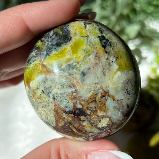 Exotic Green Opal Palm Stone from Madagascar