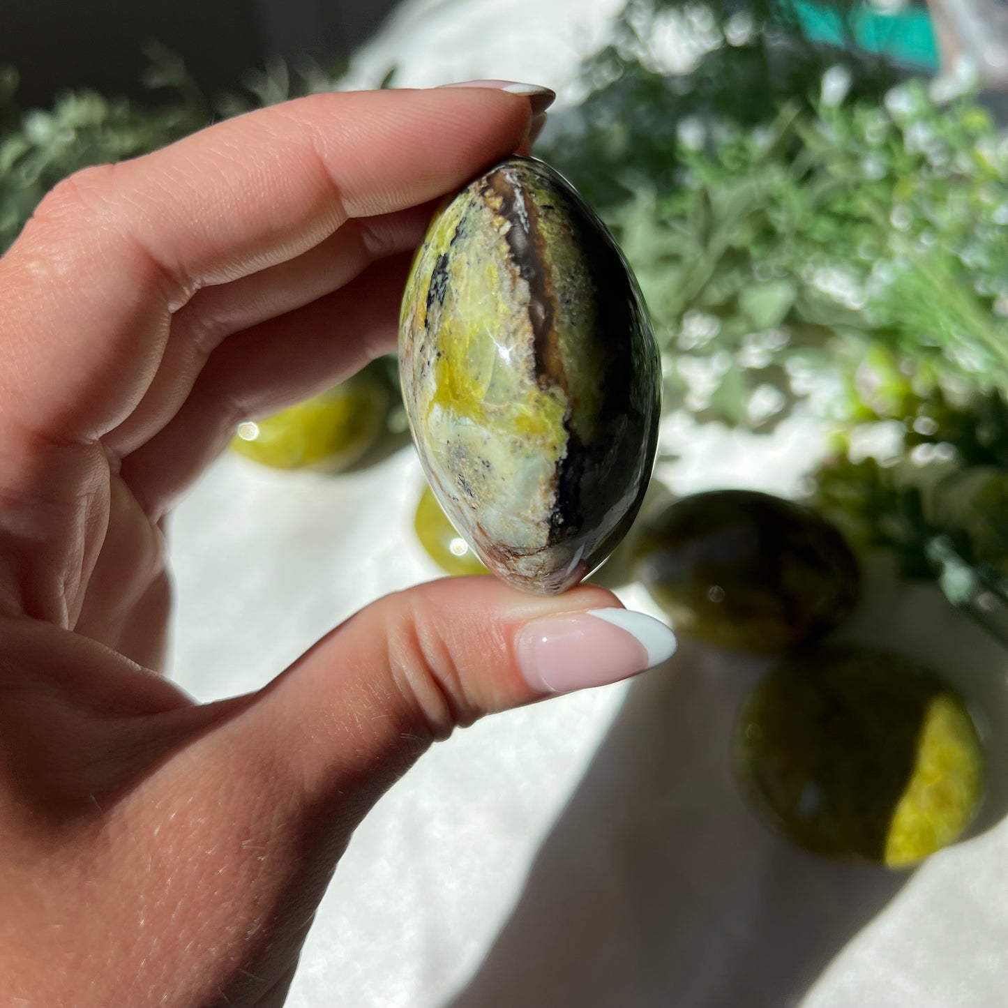 Exotic Green Opal Palm Stone from Madagascar