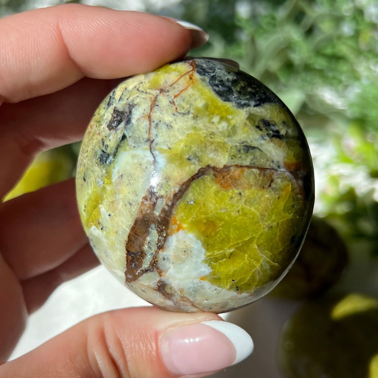 Exotic Green Opal Palm Stone from Madagascar