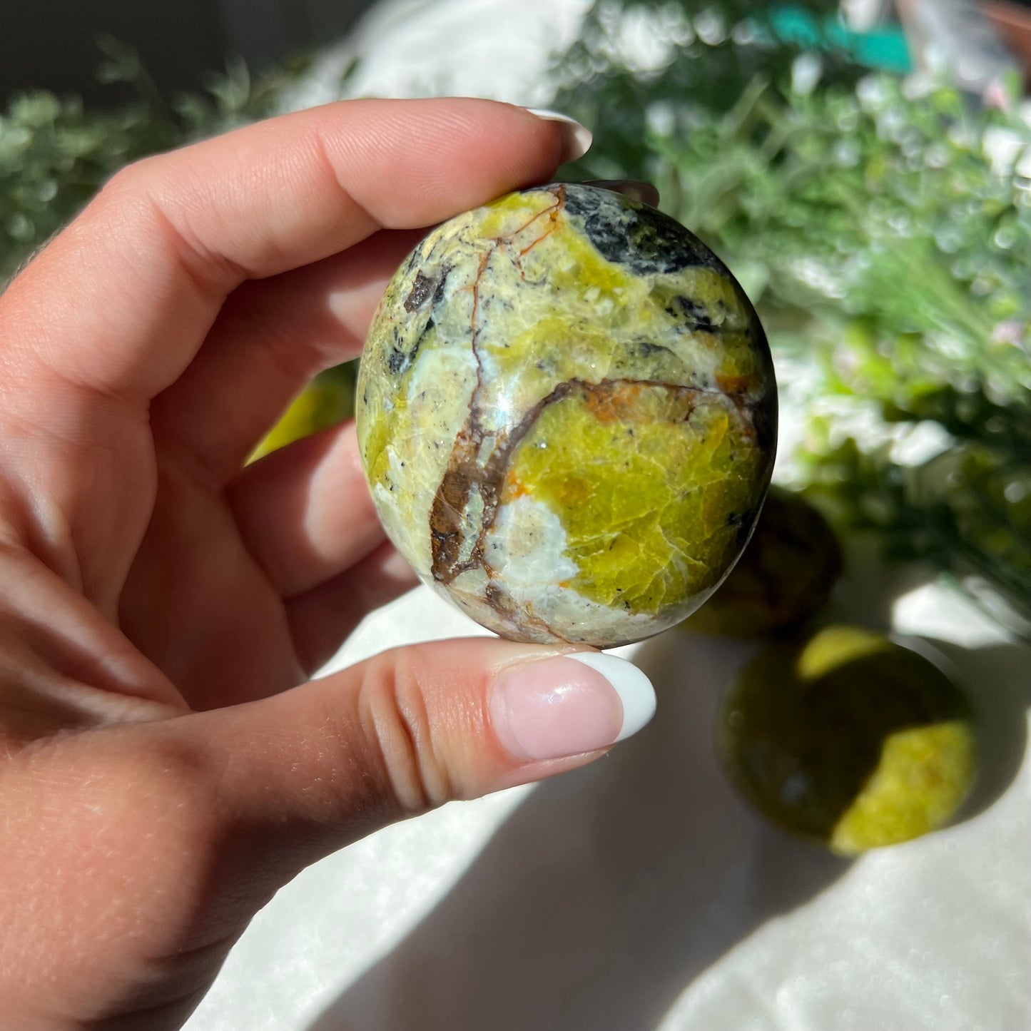 Exotic Green Opal Palm Stone from Madagascar