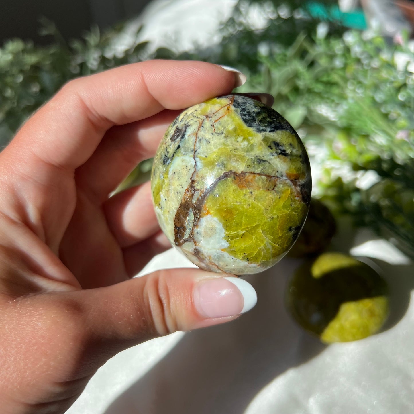 Exotic Green Opal Palm Stone from Madagascar