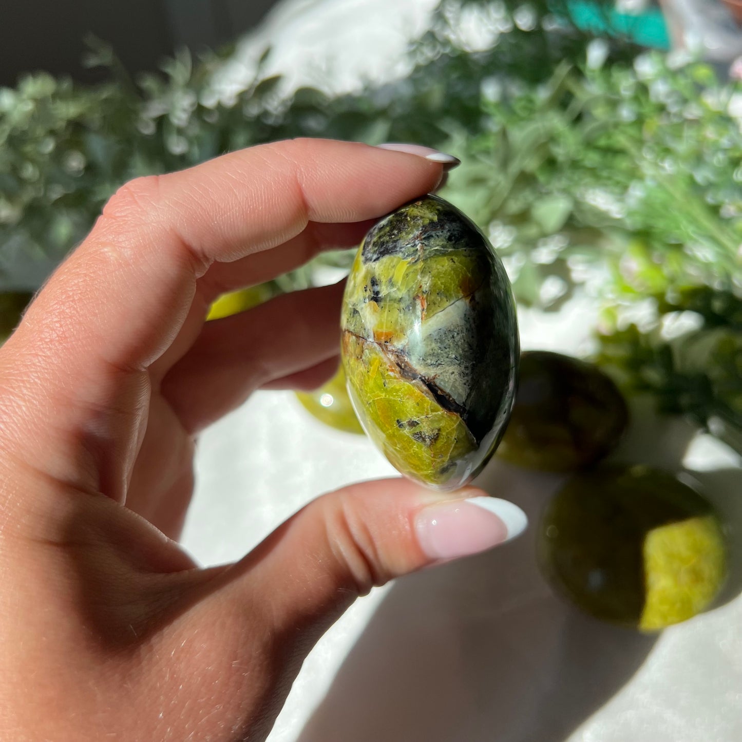 Exotic Green Opal Palm Stone from Madagascar