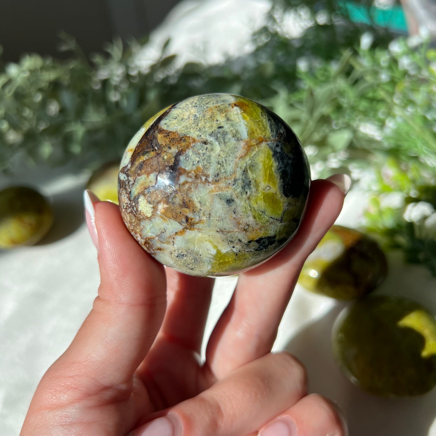 Exotic Green Opal Palm Stone from Madagascar