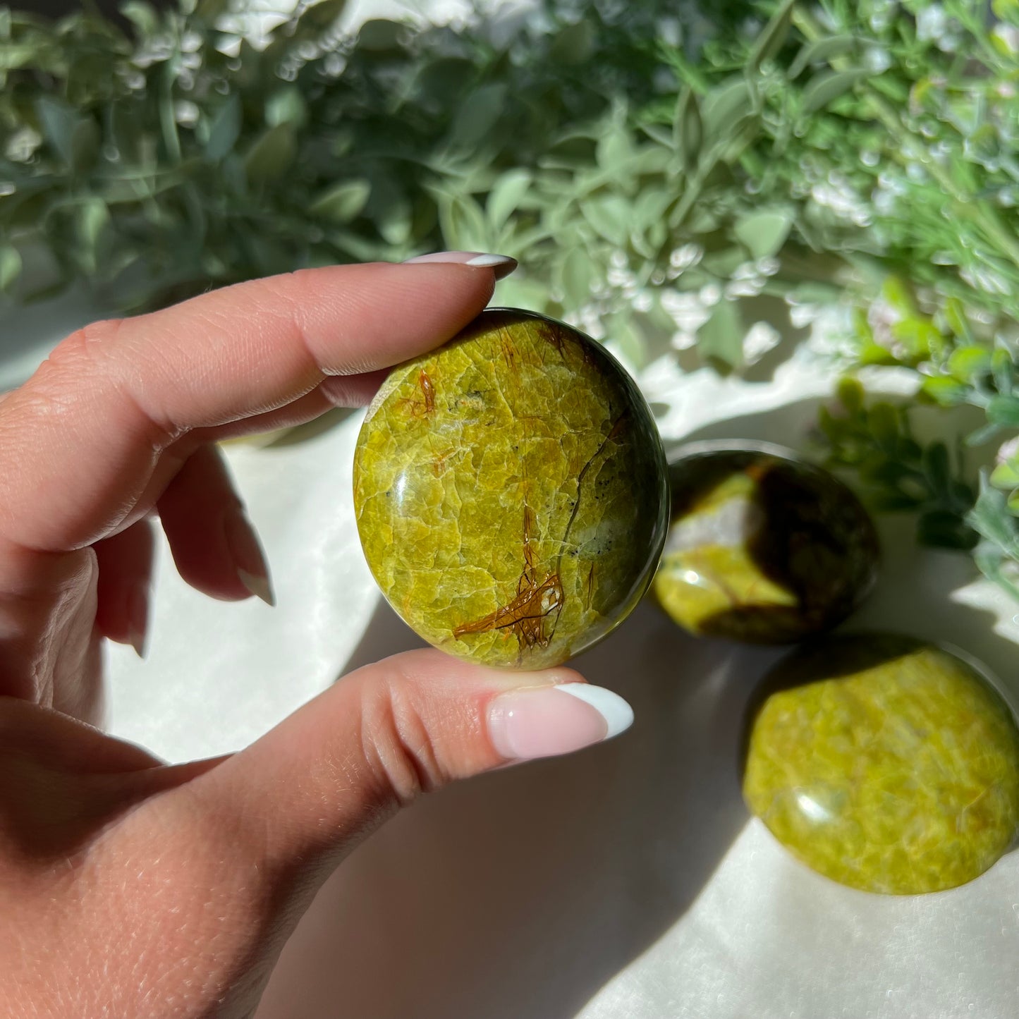 Exotic Green Opal Palm Stone from Madagascar