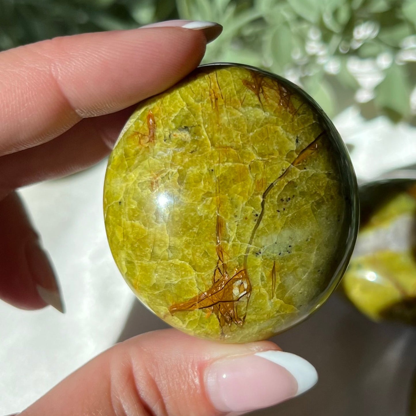 Exotic Green Opal Palm Stone from Madagascar