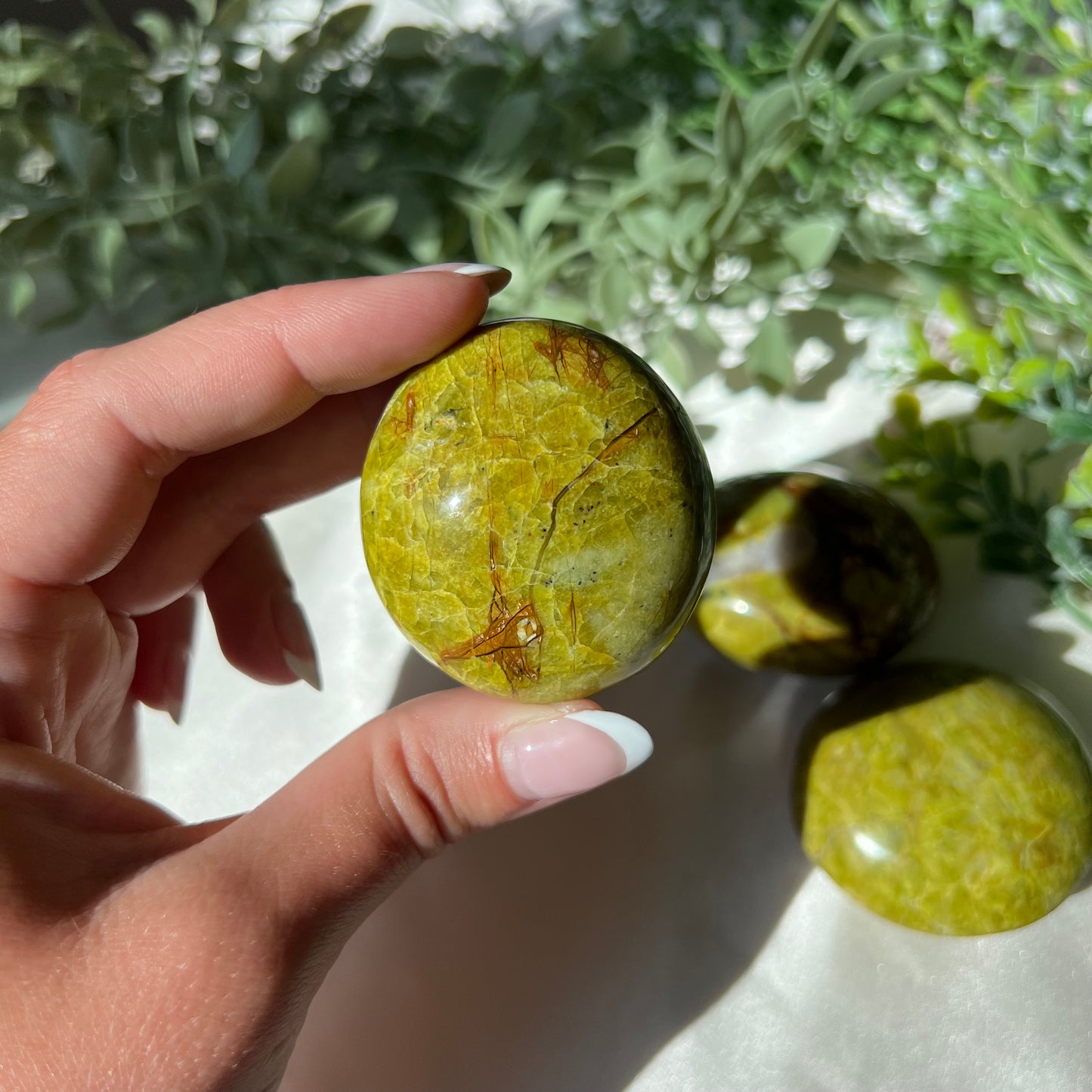 Exotic Green Opal Palm Stone from Madagascar