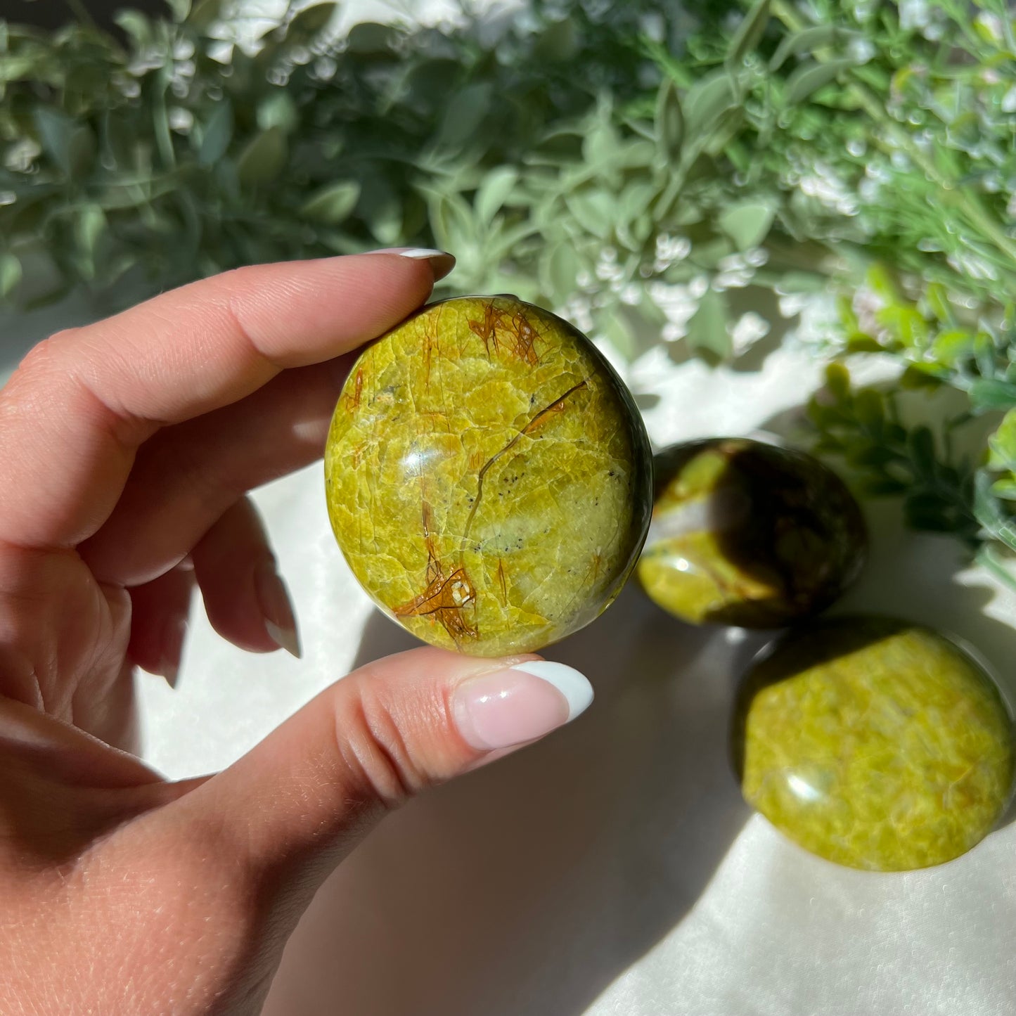 Exotic Green Opal Palm Stone from Madagascar