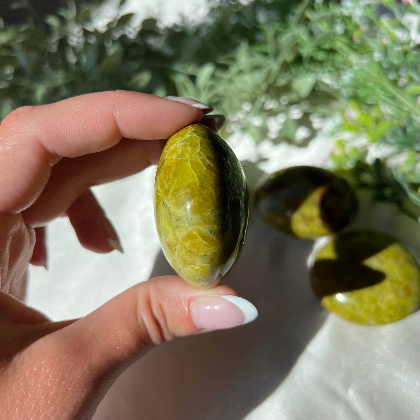 Exotic Green Opal Palm Stone from Madagascar