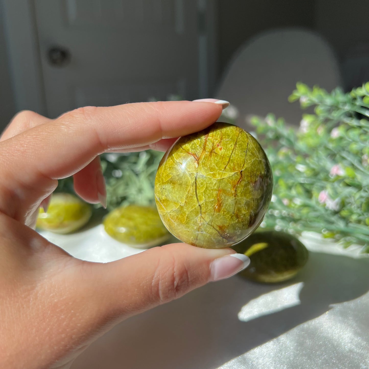 Exotic Green Opal Palm Stone from Madagascar