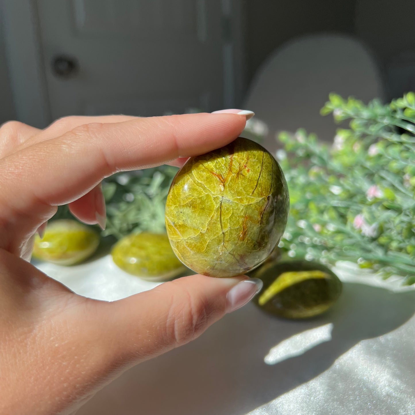 Exotic Green Opal Palm Stone from Madagascar