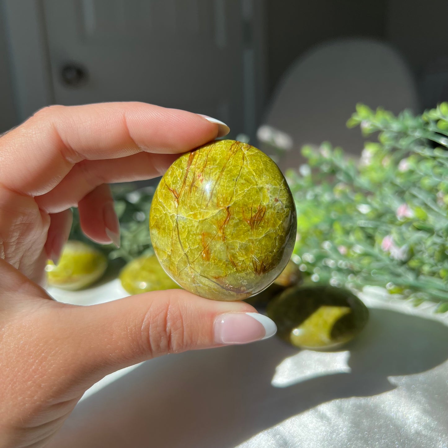 Exotic Green Opal Palm Stone from Madagascar