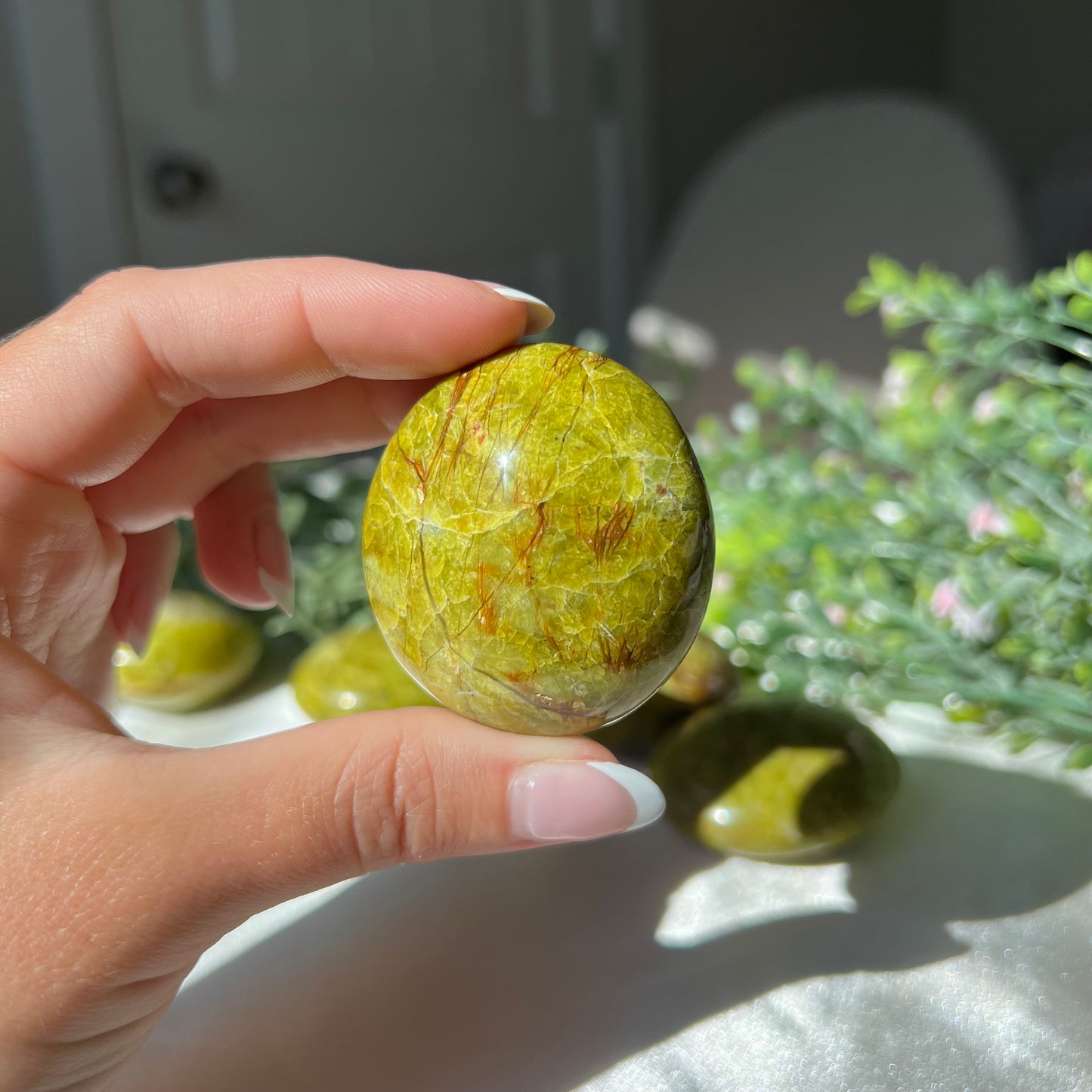 Exotic Green Opal Palm Stone from Madagascar