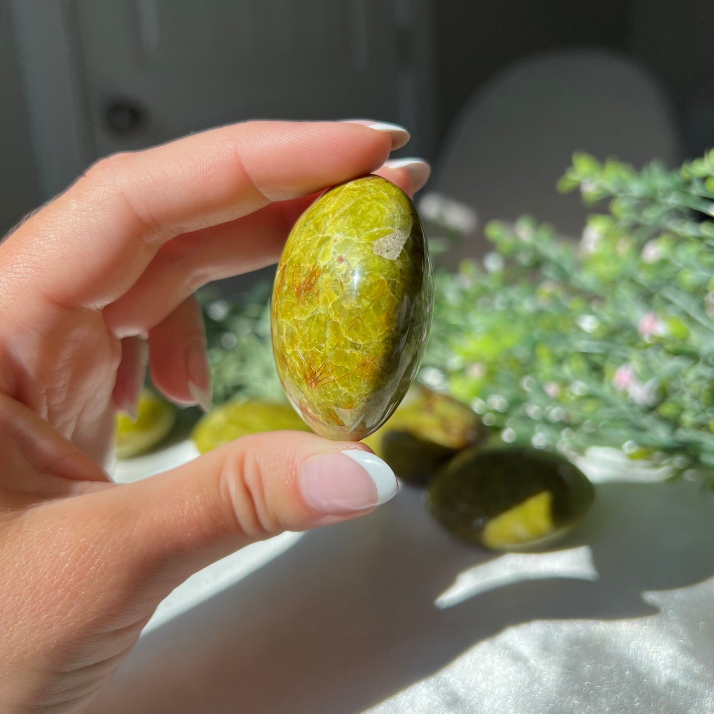 Exotic Green Opal Palm Stone from Madagascar