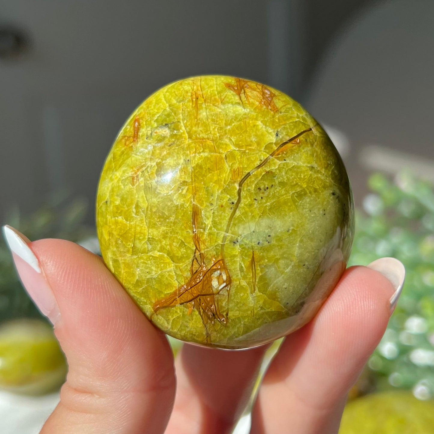 Exotic Green Opal Palm Stone from Madagascar